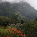 CAPETOWN TABLE MOUNTAIN misty  W.Cape.jpg