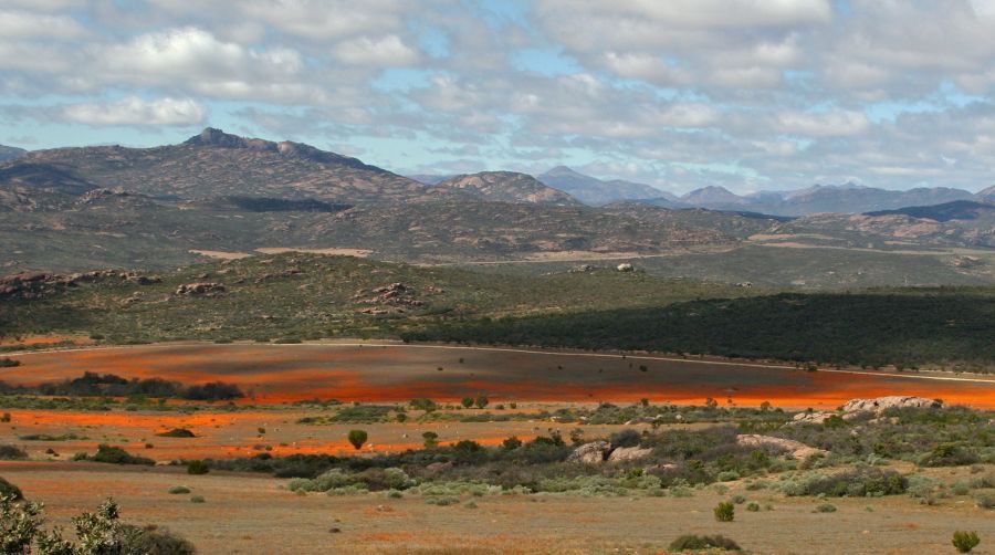 NAMAQUALAND. Panorama.    N.Cape..jpg