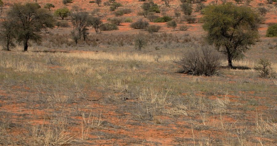A  LANDSCAPE  VIEW with dried up River beds_edited-1.jpg