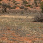 A  LANDSCAPE  VIEW with dried up River beds_edited-1.jpg