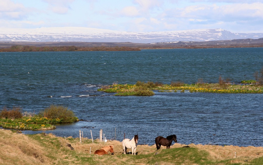 LAKE         MYVATN.jpg