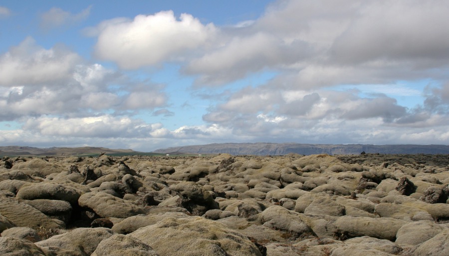 LAVA FIELD   moss covered.jpg