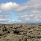 LAVA FIELD   moss covered.jpg